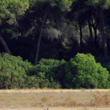 Pequeno Rocio Urbanizacion Privada Villa El Rocio Bagian luar foto